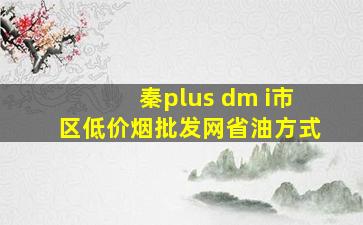 秦plus dm i市区(低价烟批发网)省油方式